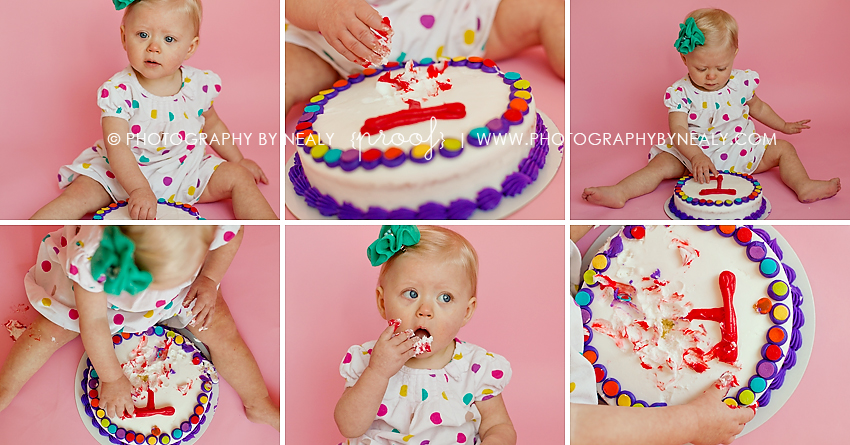 Happy Birthday, Piper! - Minneapolis St. Paul Portrait Photographer