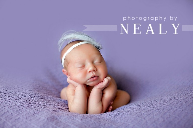 Meet Evelyn | Minneapolis St. Paul Newborn Photographer - Minneapolis ...