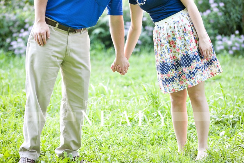 The Perfect Picnic Spot Minneapolis St. Paul Engagement Photographer Minneapolis St. Paul
