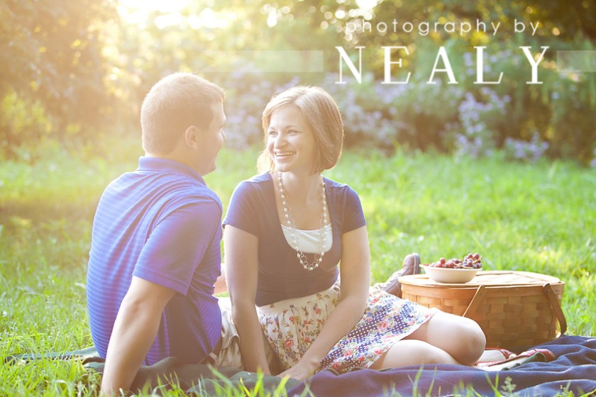 The Perfect Picnic Spot Minneapolis St. Paul Engagement Photographer