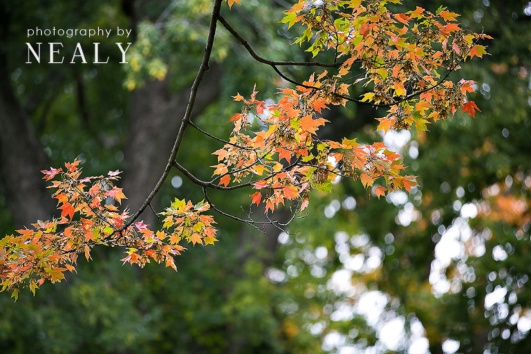 MinneapolisWedding_06