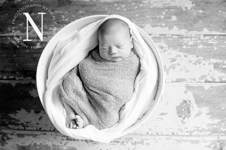 Rosemount-Newborn-Photographer04