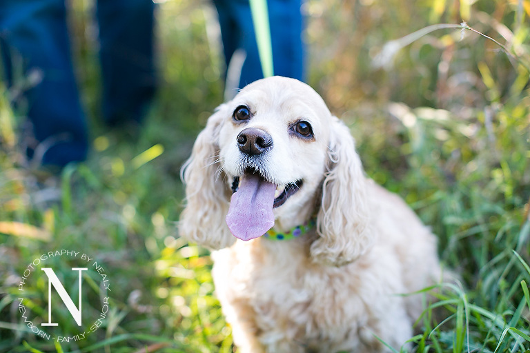 Eagan-Family-Photographer03