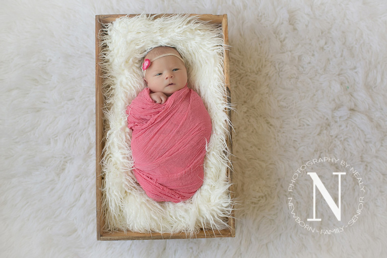 Eagan-Newborn-Photographer01