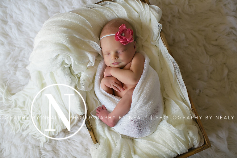 Twin-Cities-Newborn-Photographer-02