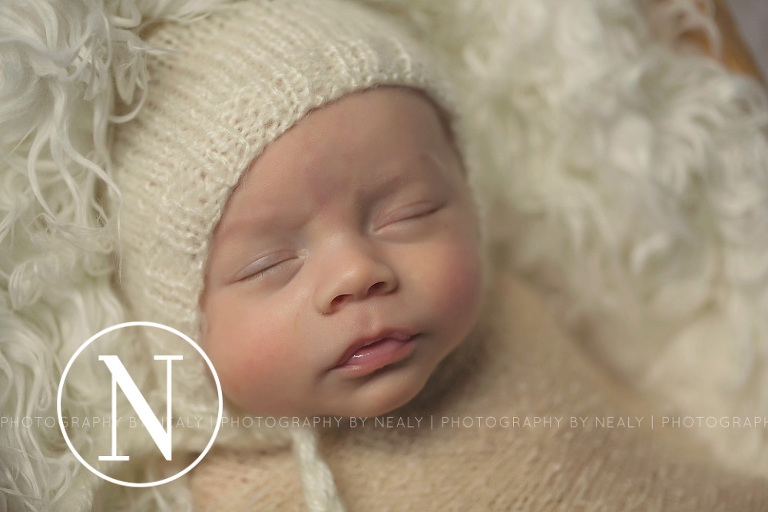 Twin-Cities-Premier-Newborn-Photographer-01
