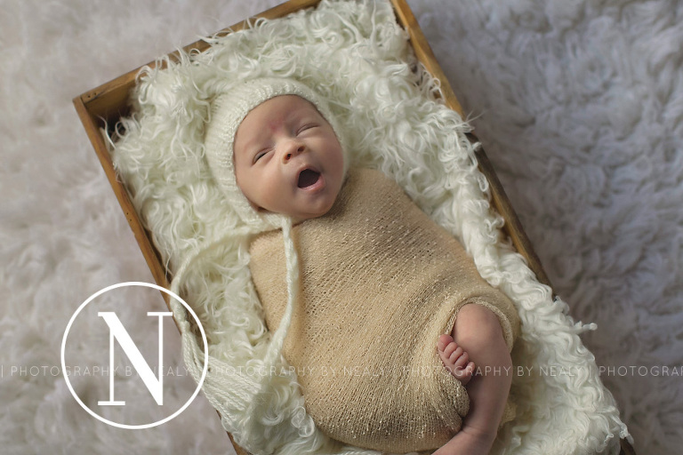 Twin-Cities-Premier-Newborn-Photographer-02