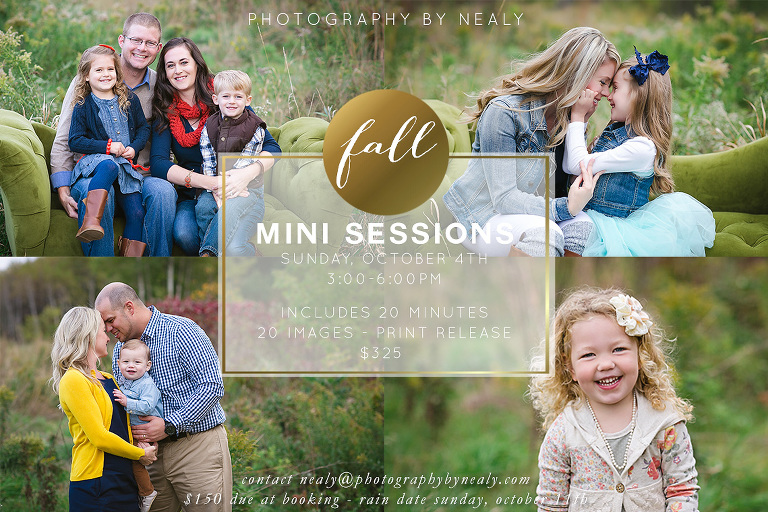 2015 Fall Mini Sessions